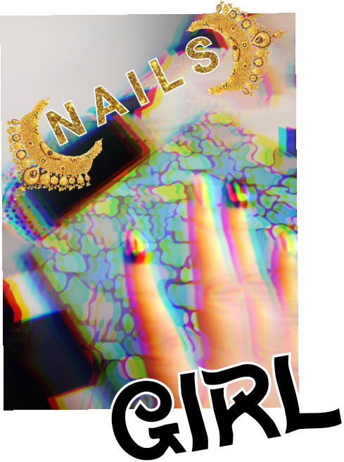 5Pack Ferry Morse( var ) 100% Organic Seeds